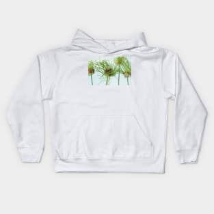 Allium vineale  'Hair' Kids Hoodie